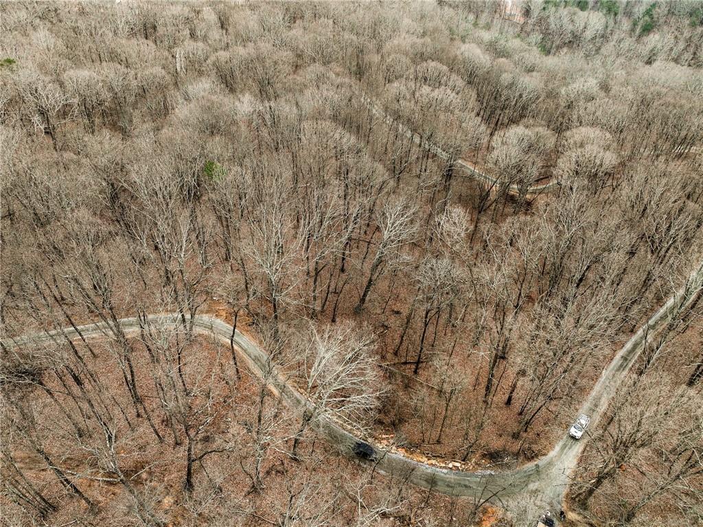 Lot 5 Mount Mincie Road Murrayville, GA 30564 - Photo 6 of 15 a view of a dry yard