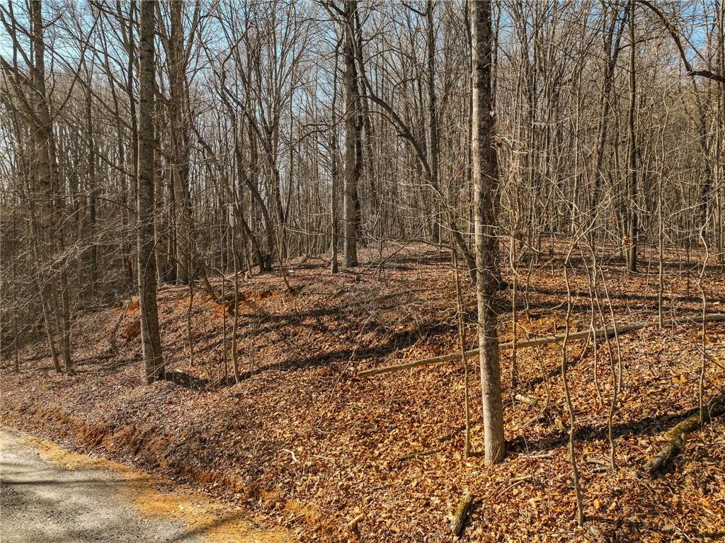Lot 5 Mount Mincie Road Murrayville, GA 30564 - Photo 8 of 15 a view of a pathway of a yard