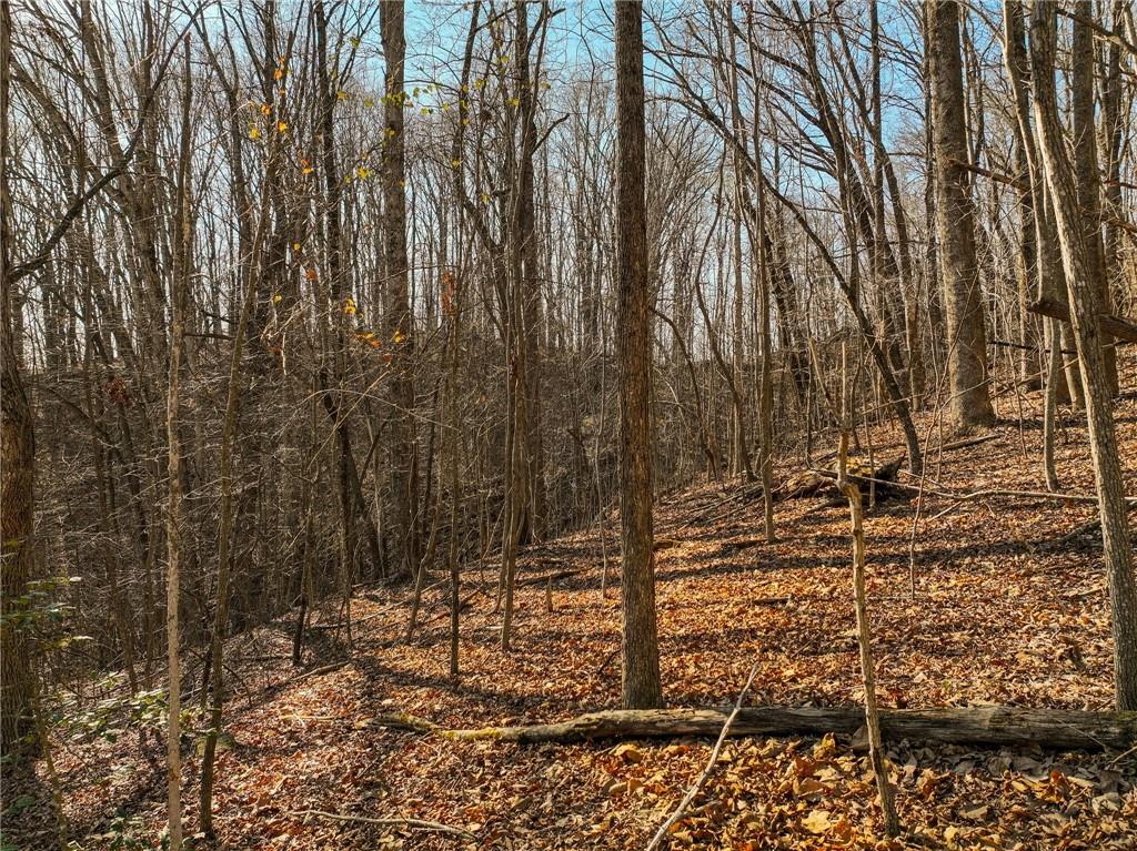 Lot 5 Mount Mincie Road Murrayville, GA 30564 - Photo 9 of 15 a view of a back yard