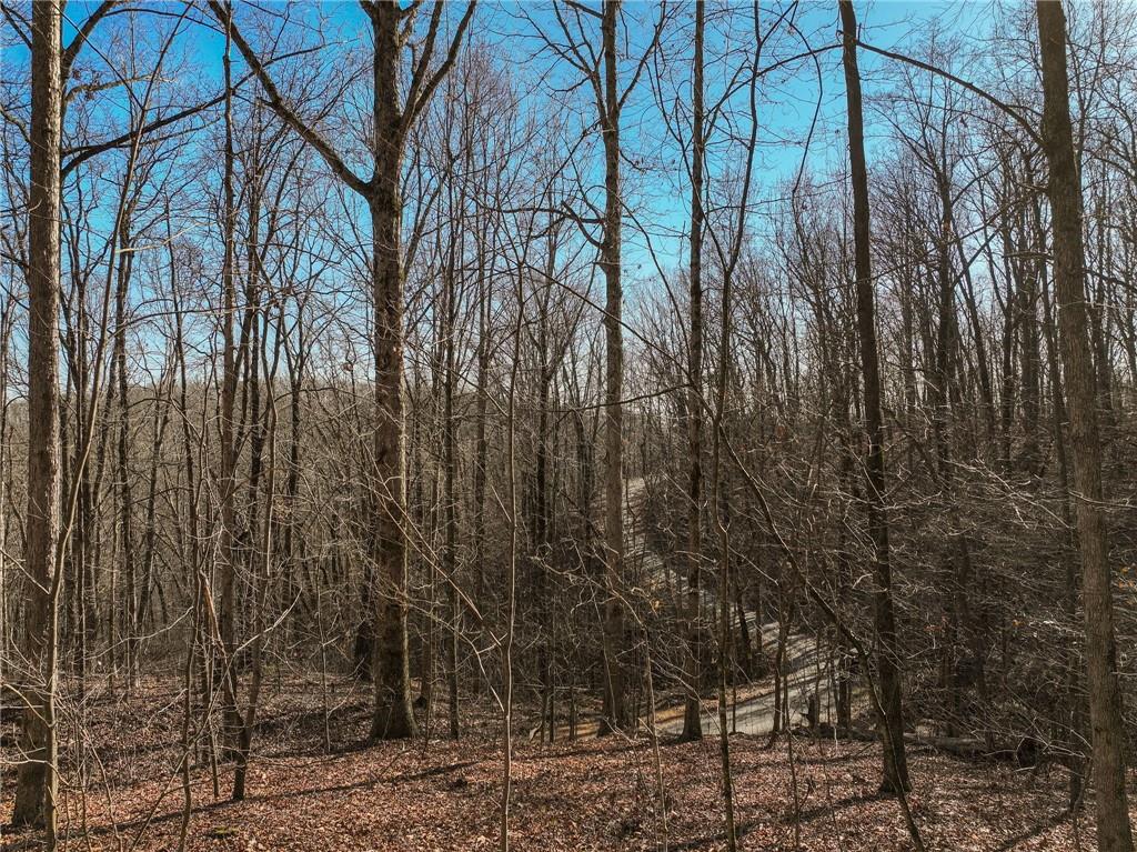 Lot 5 Mount Mincie Road Murrayville, GA 30564 - Photo 10 of 15 a view of a yard with large trees