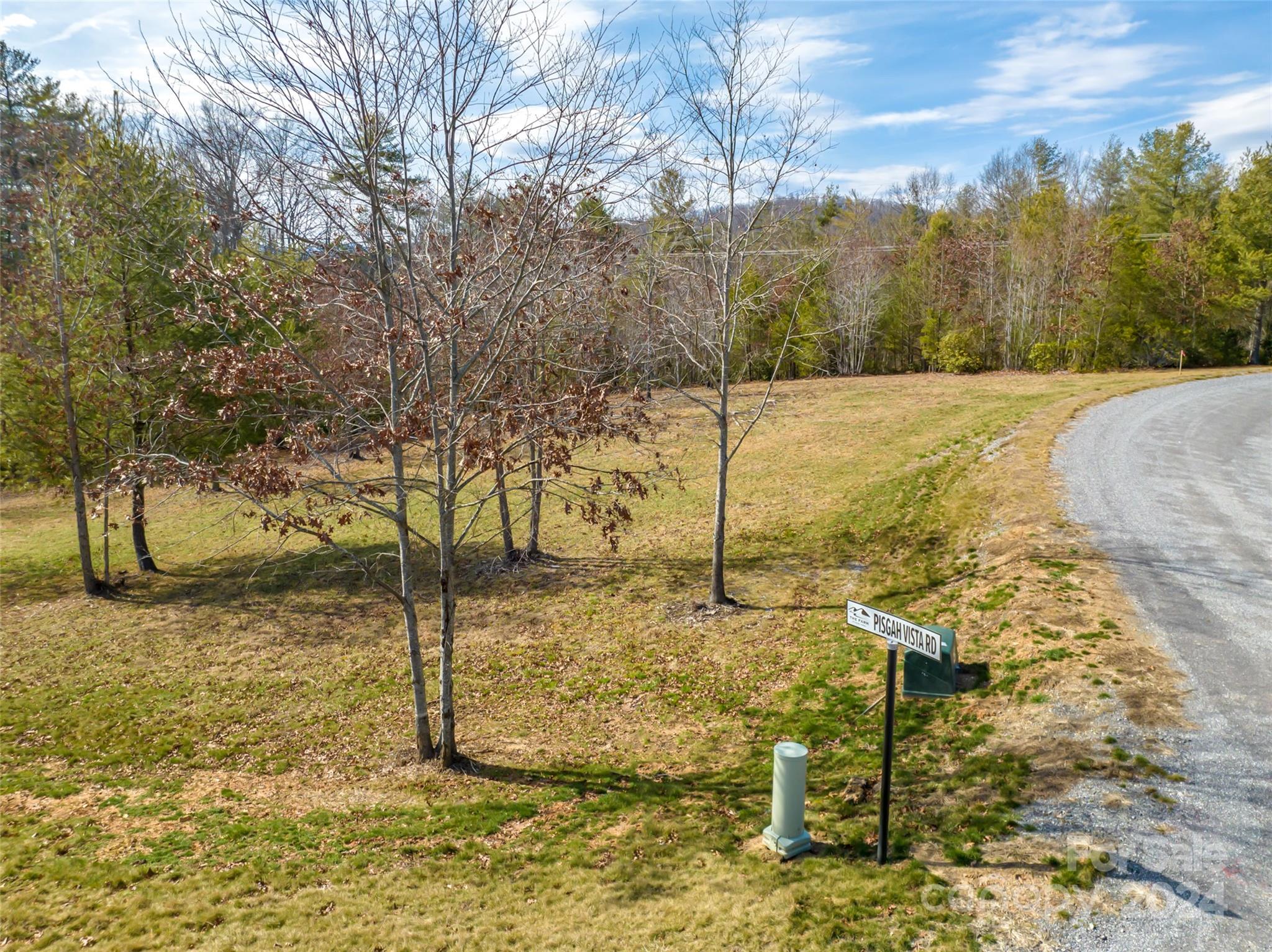 405 Pisgah Vista Road, Unit 34 Fletcher, NC 28732 - Photo 3 of 9