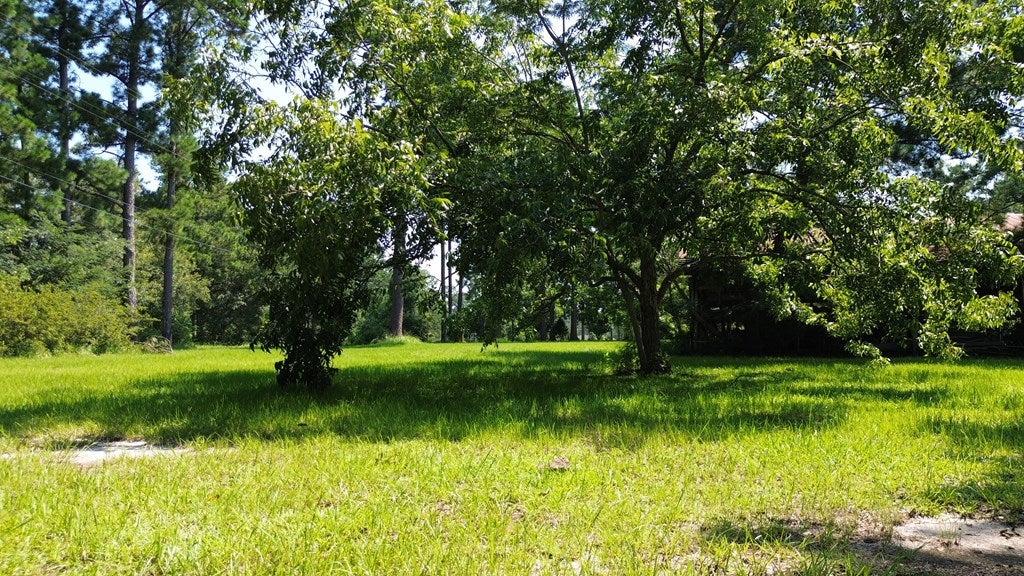 220 Dillon Road Thomasville, GA 31757 - Photo 10 of 56 Pecan Trees