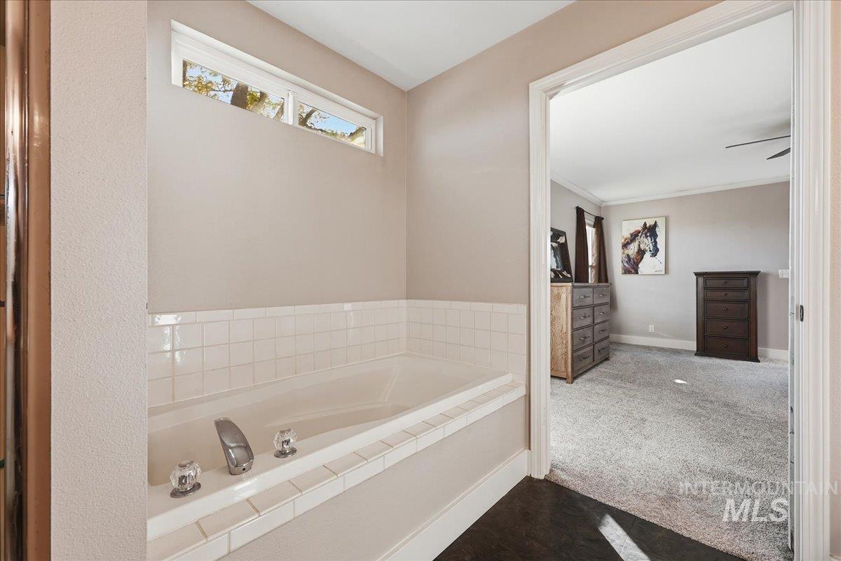 3293 West Twin View Lane Meridian, ID 83642 - Photo 20 of 43 Bathroom with a bath and dark carpet