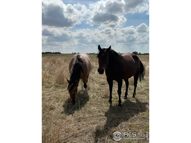 $1,999,500 | 0 County Road 41, Hudson, CO 80642