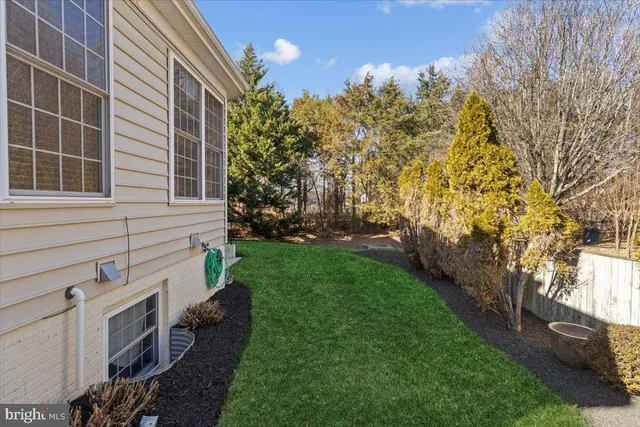 a view of a backyard with plants