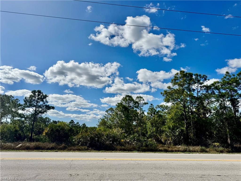 0 Immokalee Road Naples, FL 34120 - Photo 3 of 4 a view of a flower in a yard