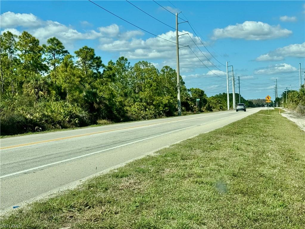 0 Immokalee Road Naples, FL 34120 - Photo 4 of 4 a view of a yard