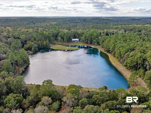 4650 Wiggins Lane Wilmer, AL 36587 - Photo 63 of 66 Aerial view of property's location featuring a forest and a large body of water