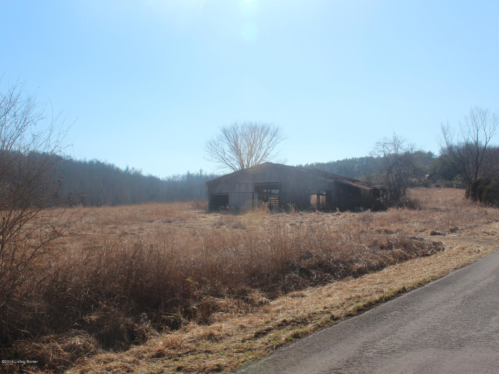 81 Mudd Auction Photos