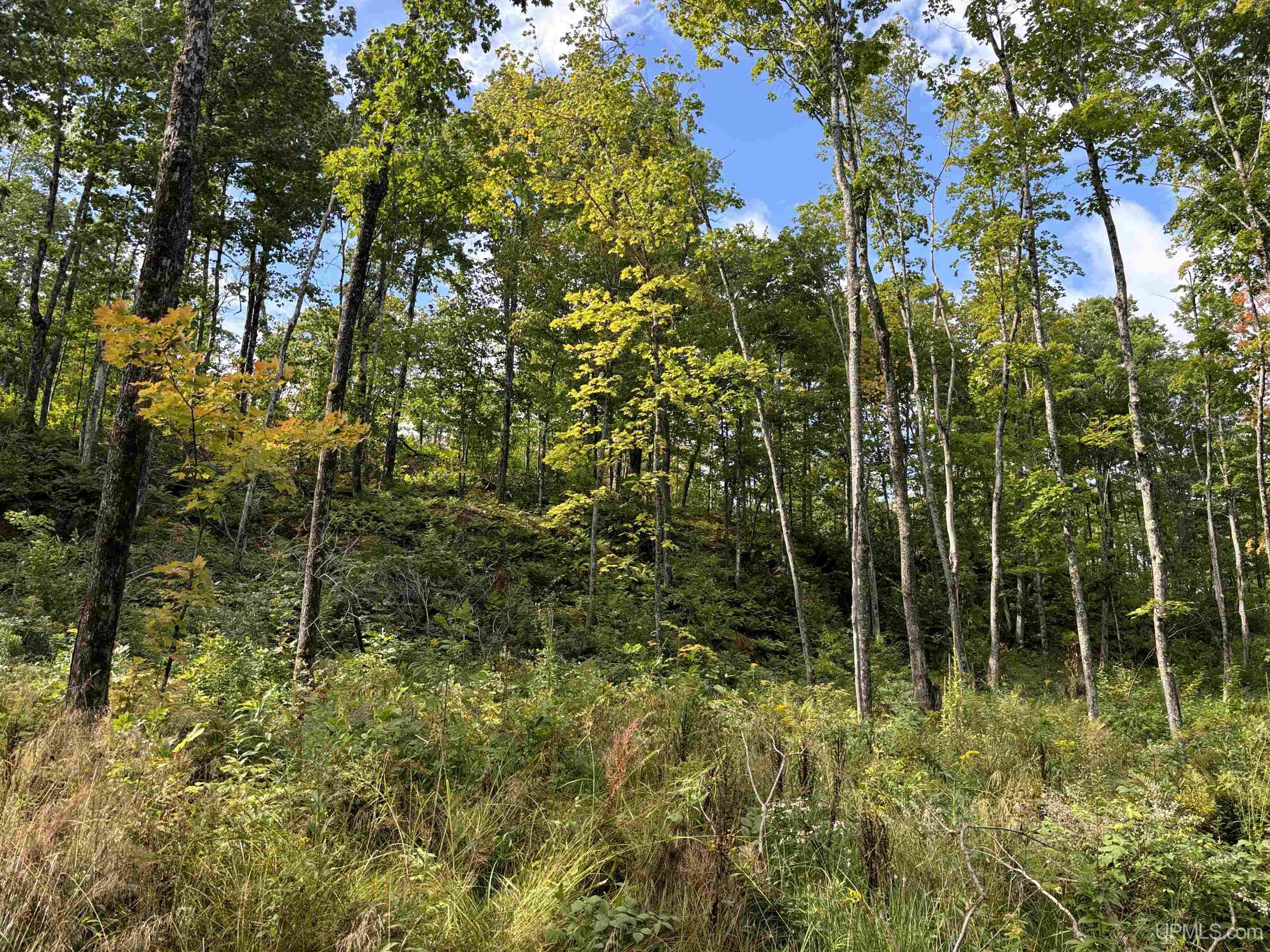1 Koski Road Bessemer, MI 49911 - Photo 28 of 29