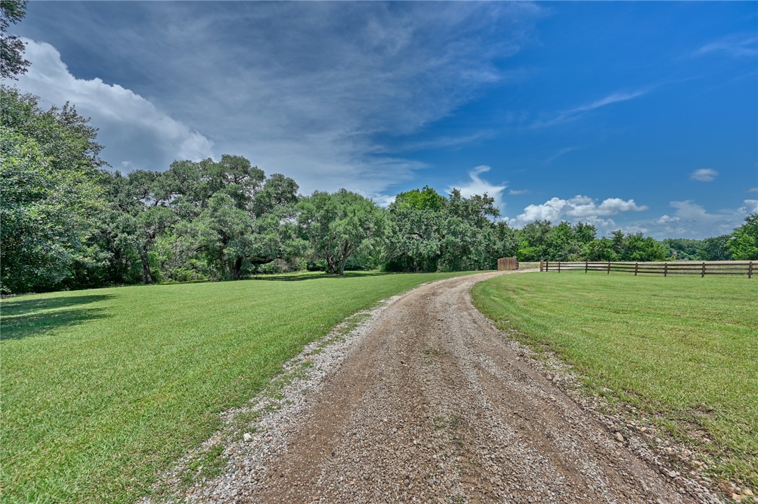 2375 FM 2935 Road North Brenham, TX 77833 - Photo 13 of 47 a view of a park with plants and trees
