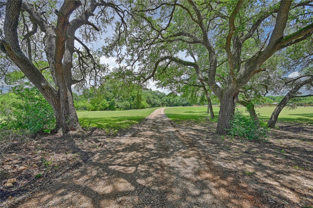 2375 FM 2935 Road North Brenham, TX 77833 - Photo 14 of 47 a view of a yard with a tree