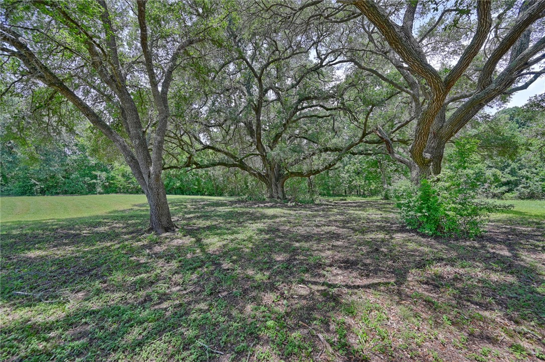 2375 FM 2935 Road North Brenham, TX 77833 - Photo 15 of 47 a view of outdoor space and yard