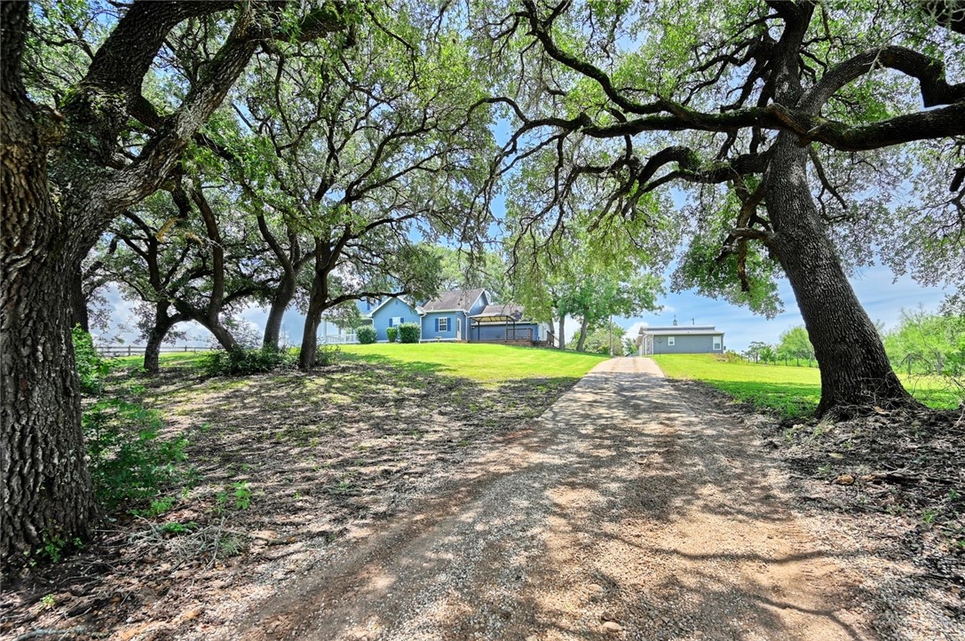 2375 FM 2935 Road North Brenham, TX 77833 - Photo 2 of 47 a view of a yard with a tree