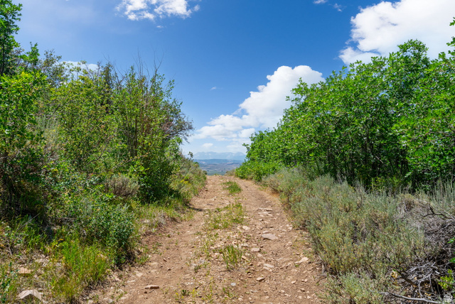 2459 Painter Road Marion, UT 84036 - Photo 19 of 42 Dirt path surrounded by lush green foliage and distant mountains under a blue sky