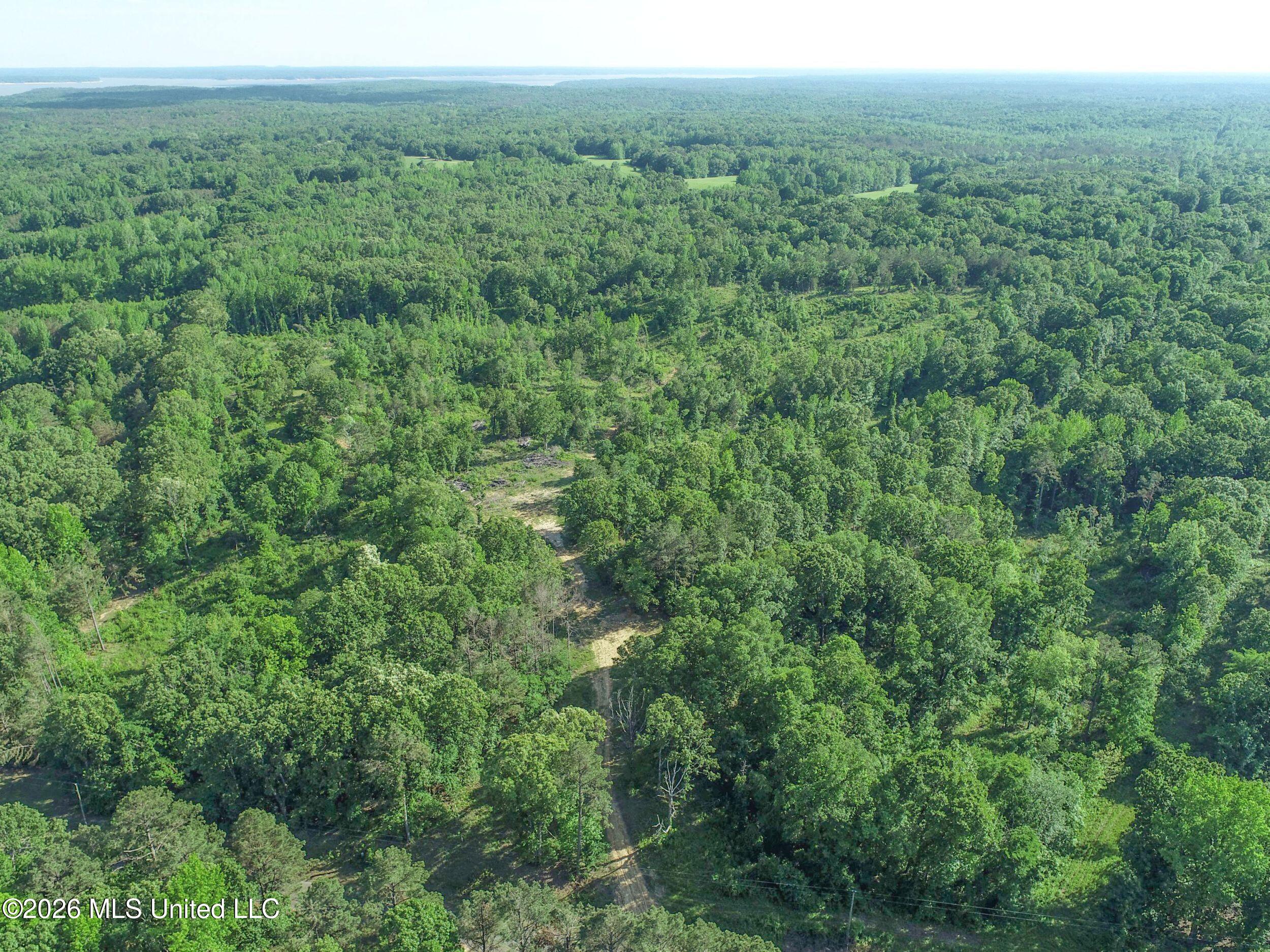 Wayne Massie Road Como, MS 38619 - Photo 52 of 184 3ctwmrd34