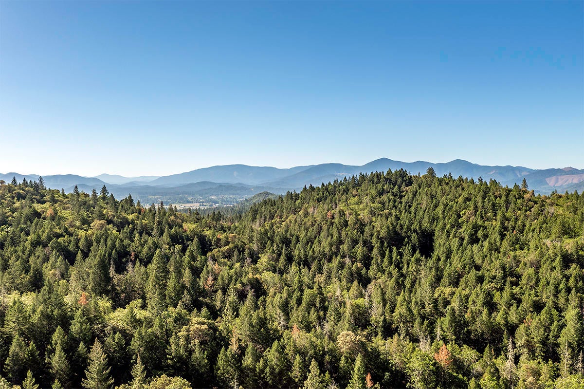 2010 Stewart Road Grants Pass, OR 97526 - Photo 28 of 32 DJI_0608-HDR