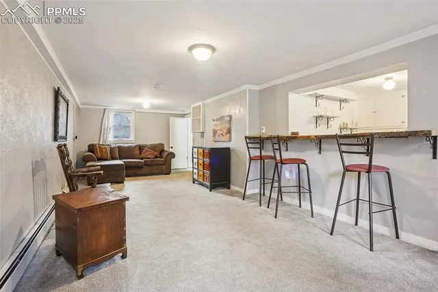 $524,999 | 9025 Picabo Road, Cascade, CO 80809