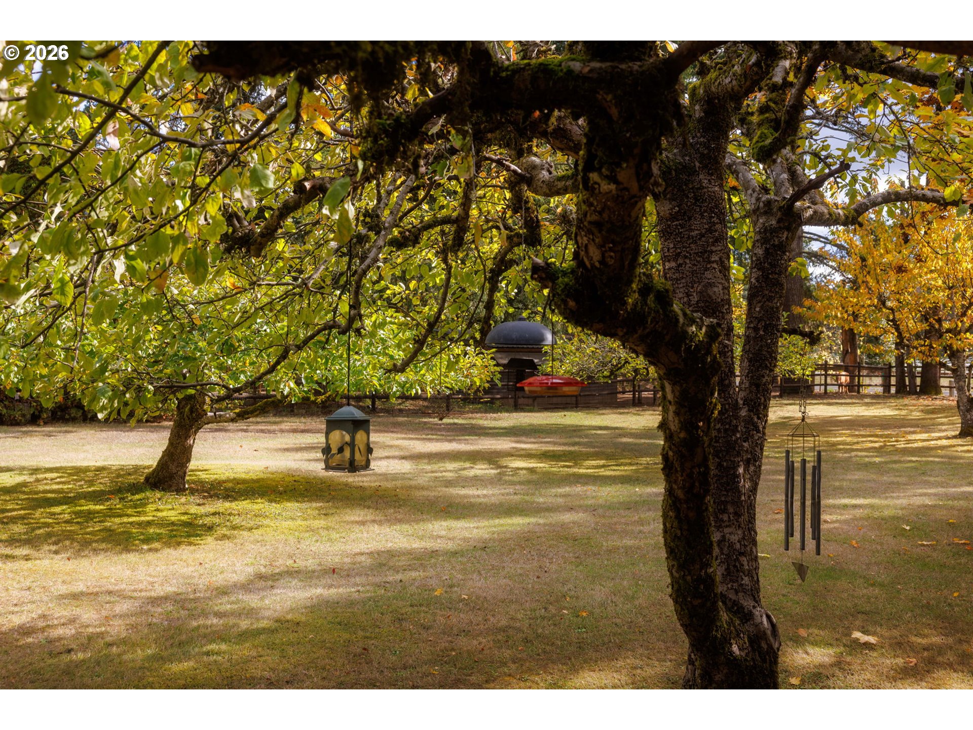 34817 Mathews Road Eugene, OR 97405 - Photo 23 of 40