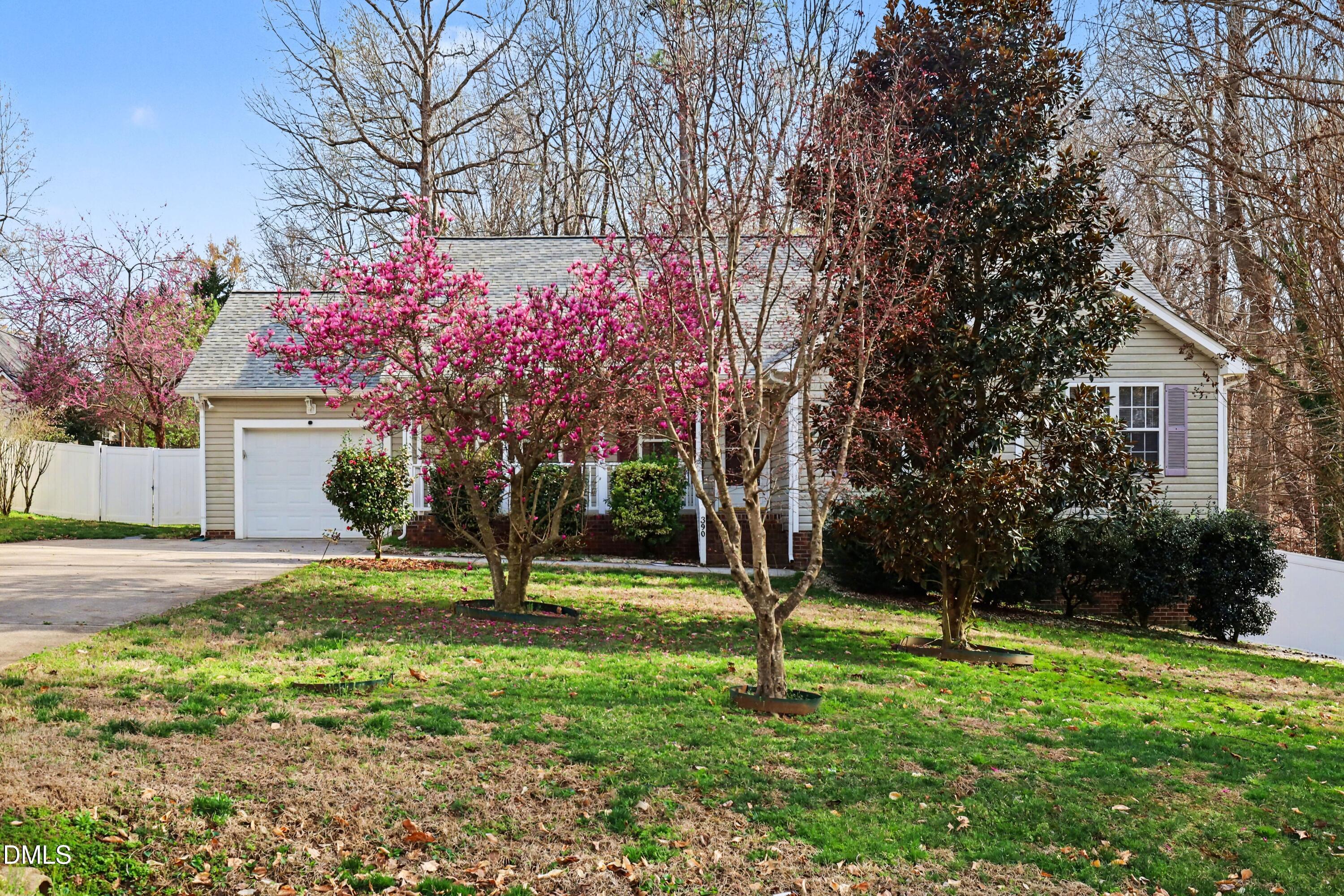 a tree in front of a house with a yard