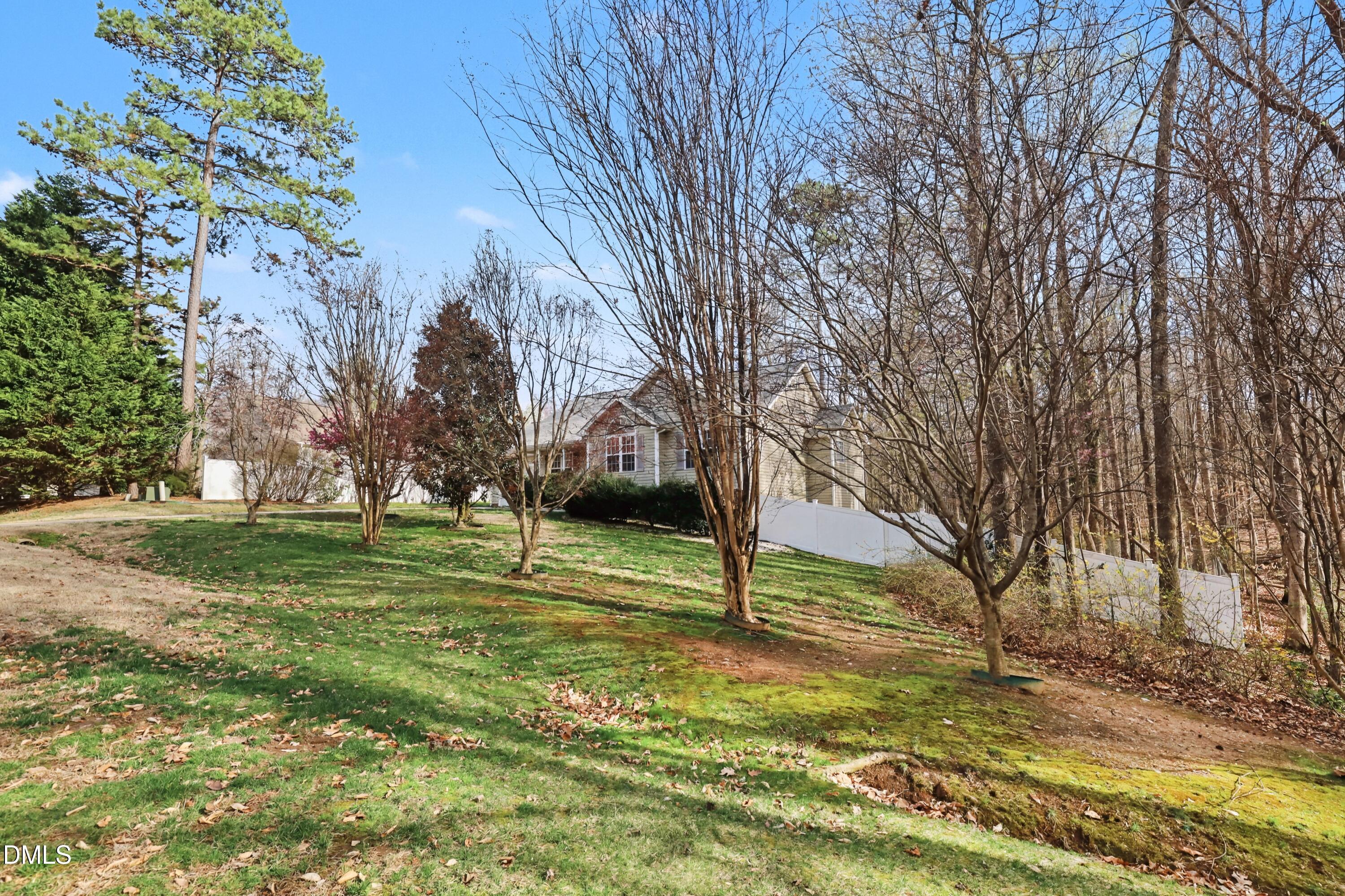 390 Eagle Stone Ridge Youngsville, NC 27596 - Photo 3 of 29 a view of yard with tree
