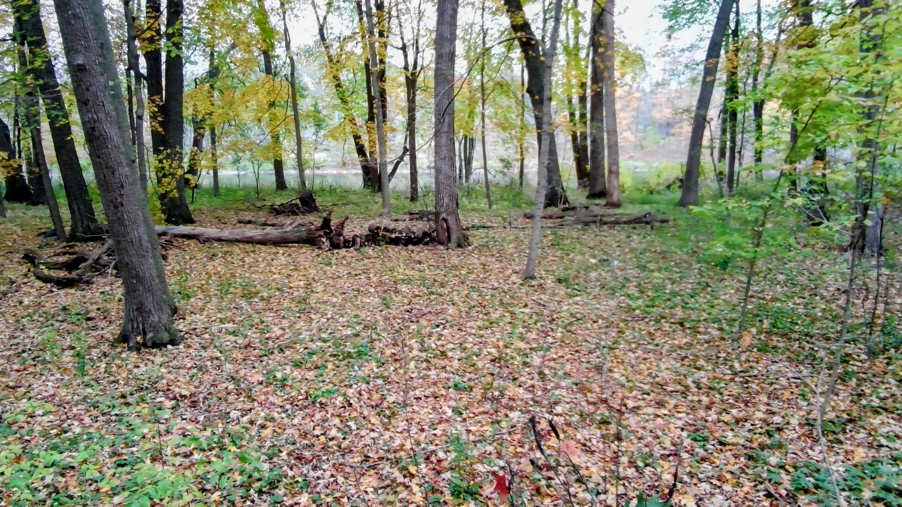 1993 Riverview Trail Fredonia, WI 53021 - Photo 8 of 12 1993 Riverview Trl