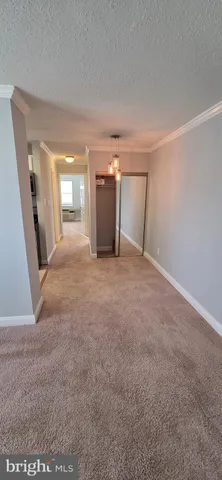 a view of a big room with closet and windows