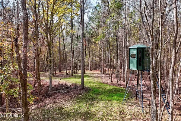 $675,000 | 8145 Gordon Station Road, Port Gibson, MS 39150