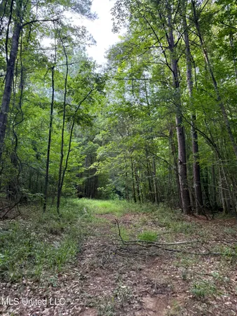 $675,000 | 8145 Gordon Station Road, Port Gibson, MS 39150