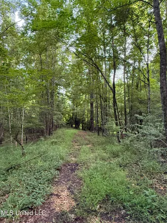 $675,000 | 8145 Gordon Station Road, Port Gibson, MS 39150