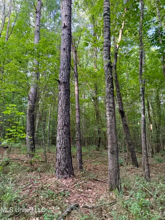 $675,000 | 8145 Gordon Station Road, Port Gibson, MS 39150