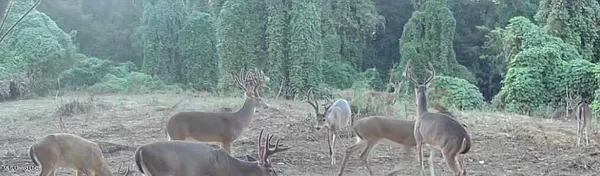 $675,000 | 8145 Gordon Station Road, Port Gibson, MS 39150