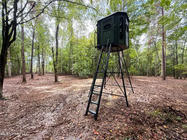 $675,000 | 8145 Gordon Station Road, Port Gibson, MS 39150