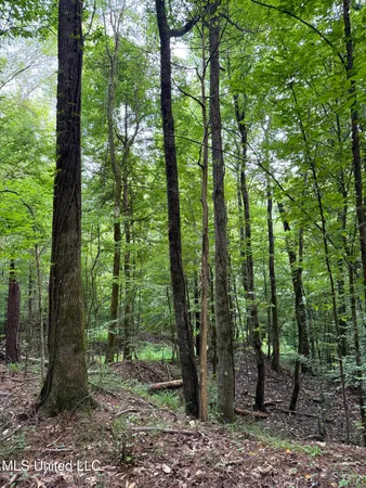 $675,000 | 8145 Gordon Station Road, Port Gibson, MS 39150