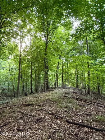 $675,000 | 8145 Gordon Station Road, Port Gibson, MS 39150