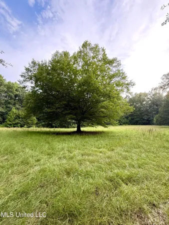 $675,000 | 8145 Gordon Station Road, Port Gibson, MS 39150