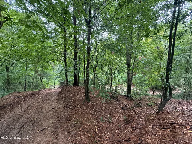 $690,000 | 8145 Gordon Station Road, Port Gibson, MS 39150