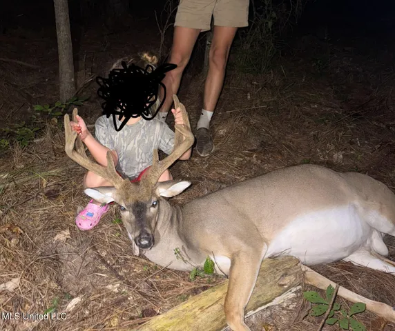 $690,000 | 8145 Gordon Station Road, Port Gibson, MS 39150