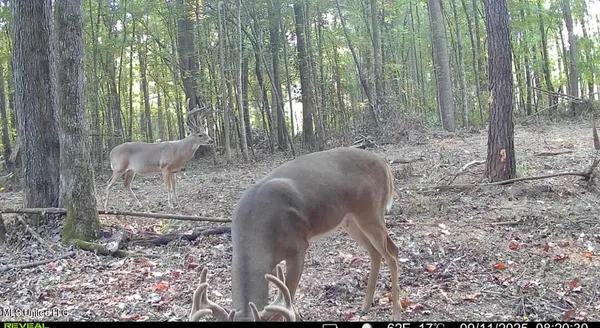 $675,000 | 8145 Gordon Station Road, Port Gibson, MS 39150