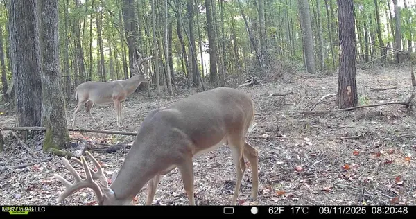 $675,000 | 8145 Gordon Station Road, Port Gibson, MS 39150