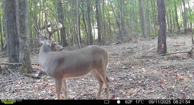 $690,000 | 8145 Gordon Station Road, Port Gibson, MS 39150