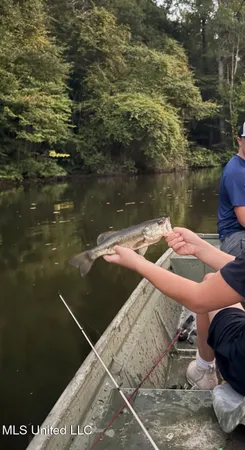 $675,000 | 8145 Gordon Station Road, Port Gibson, MS 39150