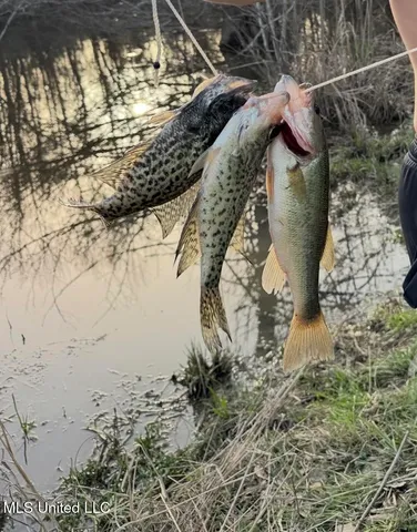 $690,000 | 8145 Gordon Station Road, Port Gibson, MS 39150