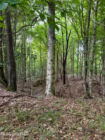 $690,000 | 8145 Gordon Station Road, Port Gibson, MS 39150