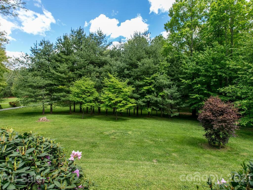 227 Gravely Branch Road Fletcher, NC 28732 - Photo 10 of 39 Gallery Image 10