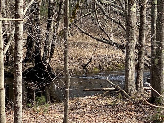27 Half Mile Road Lebanon, ME 04027 - Photo 26 of 26 26 lib
