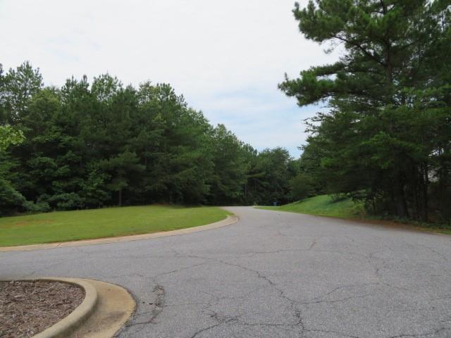Lot 1 Hubbard Road, Unit LOT 1 Hickory, NC 28601 - Photo 4 of 15 Gallery Image 4