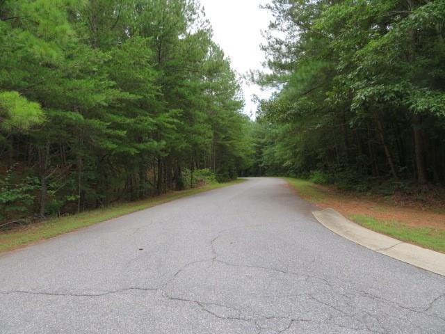 Lot 1 Hubbard Road, Unit LOT 1 Hickory, NC 28601 - Photo 5 of 15 Gallery Image 5