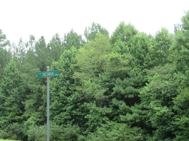 Lot 1 Hubbard Road, Unit LOT 1 Hickory, NC 28601 - Photo 6 of 15 Gallery Image 6