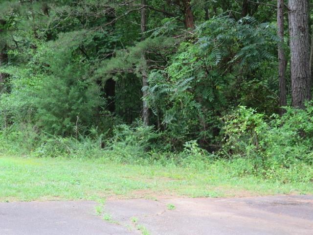 Lot 1 Hubbard Road, Unit LOT 1 Hickory, NC 28601 - Photo 7 of 15 Gallery Image 7